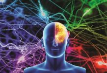 Enciende tu Cerebro