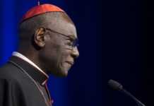 Robert Sarah: “El sacerdocio cristiano está en peligro mortal”