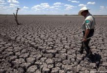 Iglesias Católica, Ortodoxa y Anglicana: Demanda urgente por la sostenibilidad medioambiental